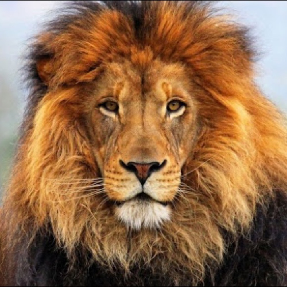 Meet your Posher, Erik